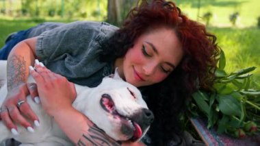 Güzel beyaz köpek pitbull staffordshire terrier parkta yürüyüş yaparken sahibinin onu yalarken dinlenmesi.