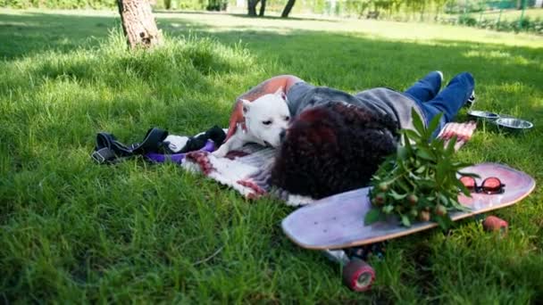Schöner Weißer Hund Pitbull Staffordshire Terrier Auf Einem Spaziergang Park — Stockvideo