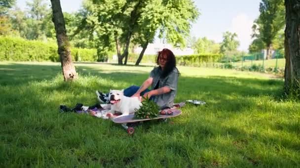 Mooie Witte Hond Pit Bull Staffordshire Terriër Een Wandeling Het — Stockvideo