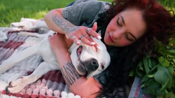 美しい白い犬のピットブルスタッフォードシャーテリア公園の散歩中に彼女を舐めているオーナーと休憩 — ストック動画