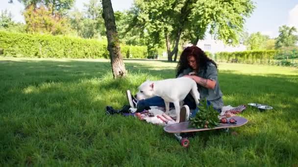 Bellissimo Cane Bianco Pit Bull Staffordshire Terrier Una Passeggiata Nel — Video Stock