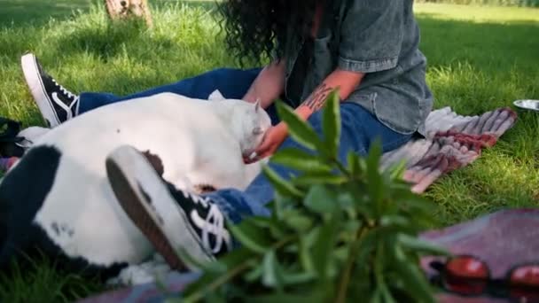 Pitbull Güzel Beyaz Bir Köpeği Parkta Yürüyüş Yapan Staffordshire Teriyeri — Stok video