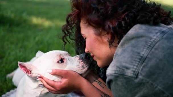 公園の散歩でスタッフォードシャーテリアの美しい白い犬 オーナーは鼻の夏に犬にキス — ストック動画
