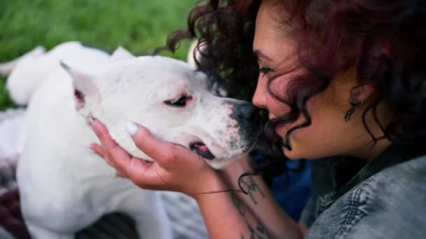 Belo Cão Branco Raça Pitbull Staffordshire Terrier Passeio Parque Proprietário — Vídeo de Stock
