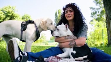 Pitbull 'un güzel beyaz köpeği Stamfordshire Teriyeri yazın parkta yürürken hayvan portresi ile tanışmaya geldi.
