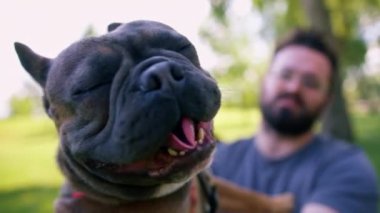 Evli bir çift doğada dinleniyor. Parkta bir çarşafta yatıyor. Fransız buldog cinsinden küçük bir köpekle oynuyor.
