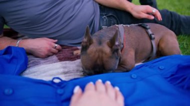 Evli bir çift doğada dinleniyor. Parkta bir çarşafta yatıyor. Fransız buldog cinsinden küçük bir köpekle oynuyor.