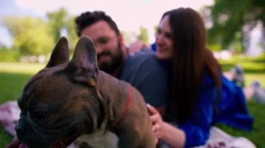 Evli bir çift doğada dinleniyor. Parkta bir çarşafta yatıyor. Fransız buldog cinsinden küçük bir köpekle oynuyor.