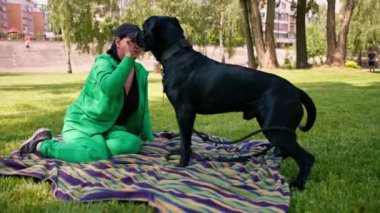 Bir kadın parkta yürürken büyük siyah bir Cane Corso köpeğini eğitiyor köpek itaatsizlik ediyor ve tasma takıyor.