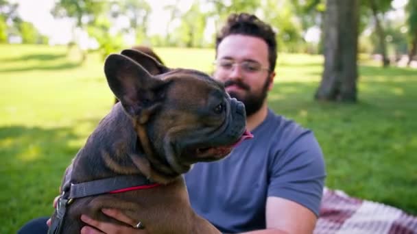Aviopari Lepää Luonnossa Arkki Puistossa Leikkii Pieni Koira Ranskan Bulldoggi — kuvapankkivideo