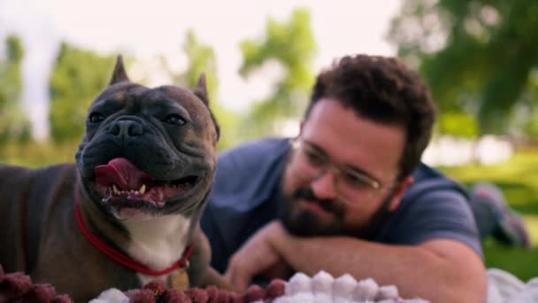 Bearded Man Resting Park His Pet Dog French Bulldog Outdoors — Stock Video