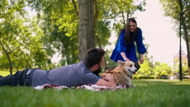 Barbudo Hombre Descansando Parque Con Perro Corgi Mascota Aire Libre — Vídeos de Stock