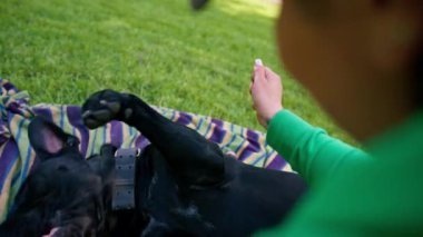 Büyük siyah bir köpek kamışı Corso 'su olan kadın antrenör parkta çim çalıyordu.