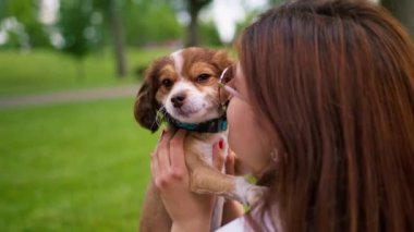 Parkta gezintiye çıkmış küçük sevimli köpeği olan kız doğadaki evcil hayvanın burnunu öpüyor.