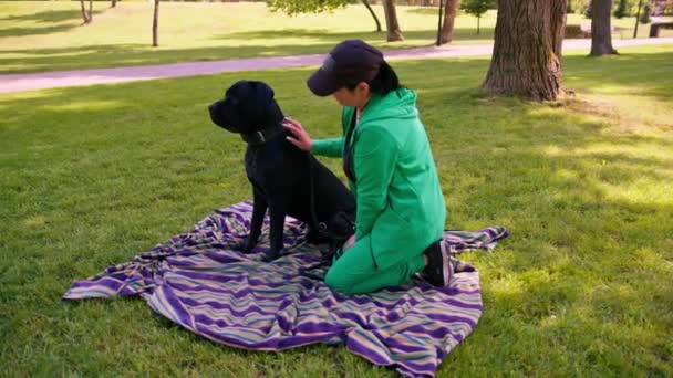 Woman Train Large Black Cane Corso Dog Walk Park Dog — стоковое видео