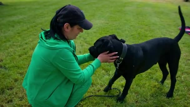 Woman Trains Large Black Cane Corso Dog Walk Park Dog — Stock Video