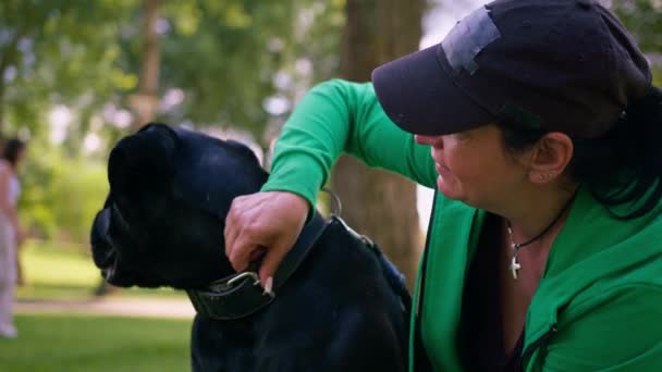 Kobieta Trenuje Dużego Czarnego Psa Cane Corso Spacerze Parku Pies — Wideo stockowe