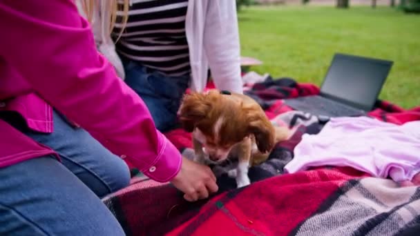 Две Лесбиянки Отдыхающие Парке Маленькой Милой Собакой Ноутбуком Семьи Пикник — стоковое видео