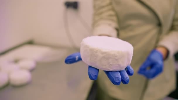 ハンドクローズアップクラフトチーズ生産の紙ラッパーにオーガニックソフトチーズを保持する労働者 — ストック動画