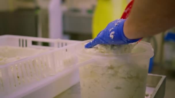Производство Молочных Сыров Сырник Собирает Свежеприготовленный Сыр Лопаткой Помещает Контейнер — стоковое видео