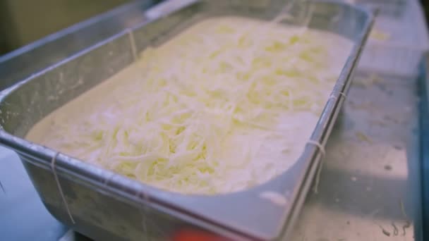 新鮮に準備された弦チーズは コンテナ生産チーズ工場のクローズアップにあります — ストック動画