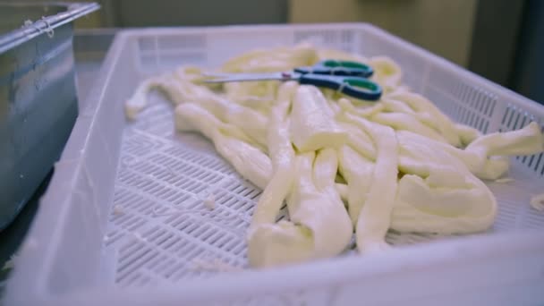Taze Hazırlanmış Sicim Peyniri Bir Konteynır Üretim Peynir Fabrikasında Yatıyor — Stok video