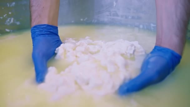 乳酪制造商从金属桶中取出白毛霉 高温检测新鲜乳酪的质量 — 图库视频影像