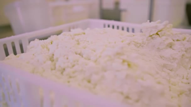 Käsespatel Liegt Container Mit Frischem Biokäse Nahaufnahme Köstliche Handgemachte Milchprodukte — Stockvideo