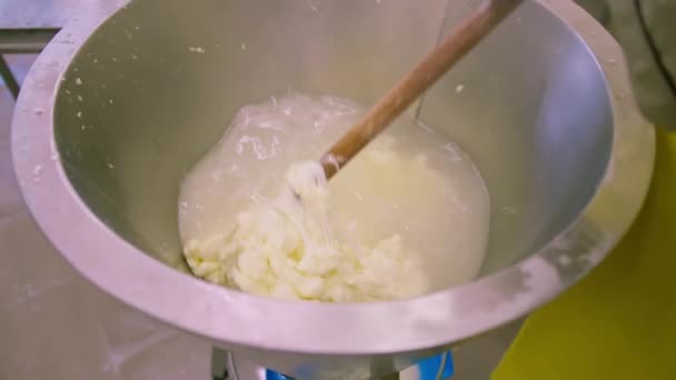 Виробництво Молочних Сирів Сирник Бере Білу Моцарелу Металевого Чану Високою — стокове відео