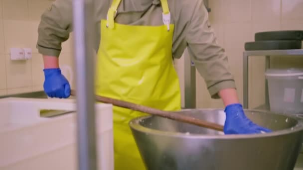 Tillverkning Mejeriostar Ostproducenten Tar Vit Mozzarella Från Metallbehållare Med Hög — Stockvideo