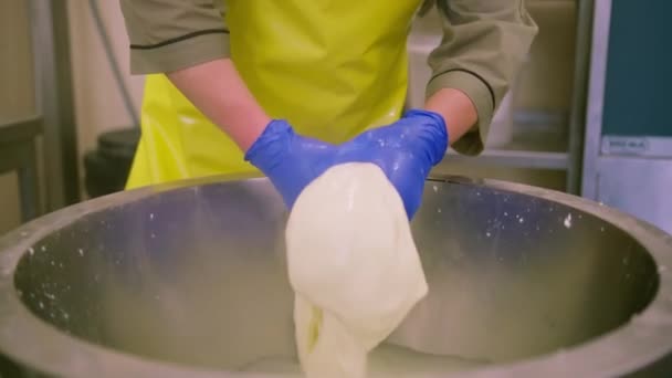 Produção Queijos Lácteos Cheesemaker Esculpe Mussarela Fresca Com Mãos Estica — Vídeo de Stock