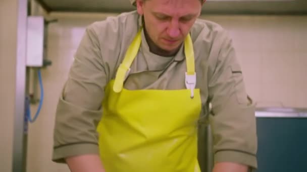 Production Fromages Laitiers Fromager Sculpte Mozzarella Fraîche Avec Ses Mains — Video