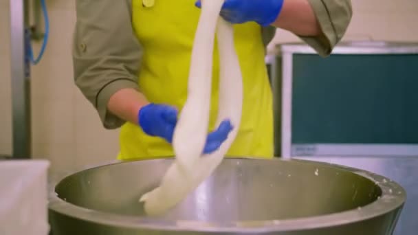 Produktion Mejeriostar Ostproducenten Skulpterar Färsk Mozzarella Med Händerna Och Sträcker — Stockvideo