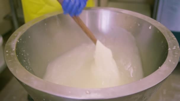 Peynir Üreticisi Yüksek Sıcaklıktaki Metal Fıçıdan Beyaz Mozzarella Alır — Stok video