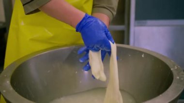 Peynir üreticisi süt peyniri üretiyor. Taze mozarellayı elleriyle yontuyor ve peyniri geriyor.