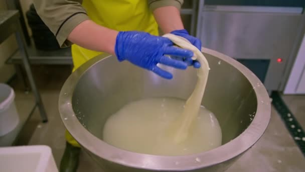 Productie Van Zuivelkazen Kaasmaker Beeldhouwt Verse Mozzarella Met Zijn Handen — Stockvideo