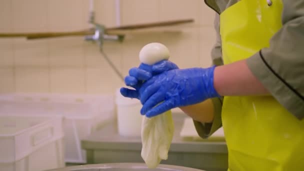 Produzione Formaggi Latte Casaro Toglie Mozzarella Bianca Una Vasca Metallo — Video Stock
