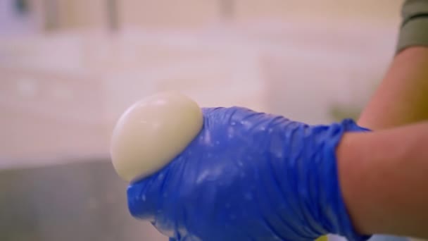 Produzione Formaggi Latte Casaro Toglie Mozzarella Bianca Una Vasca Metallo — Video Stock
