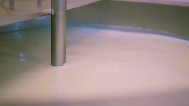 Mescolando Latte Caseificio Con Mixer Speciale Una Grande Vasca Pastorizzazione — Video Stock