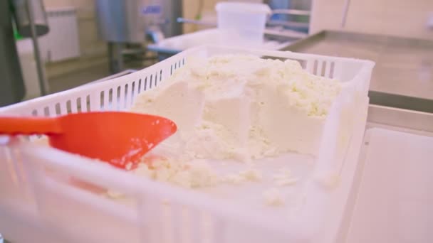 Käsespatel Liegt Container Mit Frischem Biokäse Nahaufnahme Köstliche Handgemachte Milchprodukte — Stockvideo