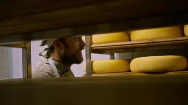 Peynir üreticisi üniformalı adam depoda ahşap raflarda peynir kafalar dolu peynir kontrolü yapıyor.