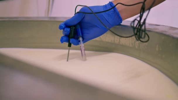 직원은 장치를 사용하여 공장에서 바트에서 살균되는 우유의 온도를 측정합니다 — 비디오