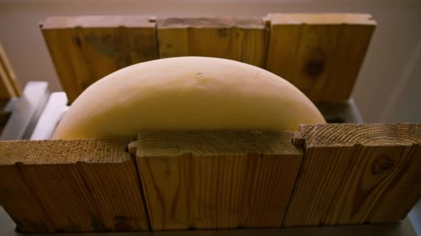 Capete Brânză Rafturi Din Lemn Depozitul Coacere Brânzeturilor Conceptul Producție — Videoclip de stoc