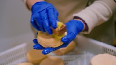 Erkek eller eldivenle peyniri fırça fırça temizliyor depoda süt tarlası üretimi başarılı tarım işi