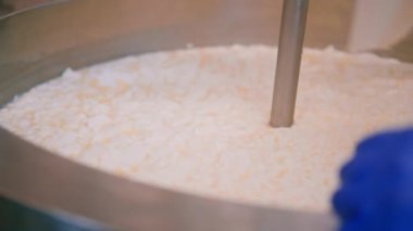 Peynir fabrikasındaki süt karıştırma peynir üreticisi peyniri elle kontrol eder büyük bir tank içinde pastörizasyon peynir üretim peynir fabrikasında