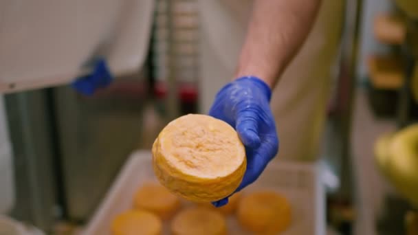Cheesemaker Guantes Apertura Caja Queso Fresco Granja Lechera Almacén Sosteniendo — Vídeo de stock