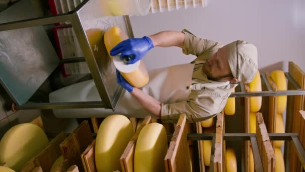 Cheesemaker Gloves Brosses Fromager Ferme Laitière Entrepôt Production Laitière Succès — Video
