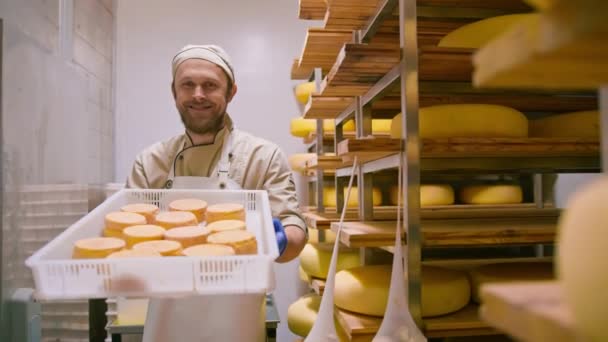 チーズメーカーは チーズの成功した農業ビジネスチーズ工場を示す酪農場倉庫の金型と新鮮なチーズを保持しています — ストック動画