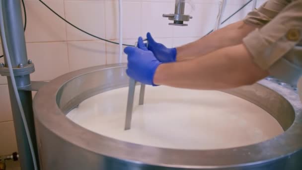 在奶酪乳制品生产过程中 一名工人将小块软奶酪和一个大铁盘混合在一起 — 图库视频影像