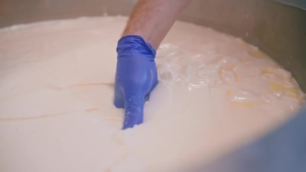 Mjölkblandning Vid Ostfabriken Osttillverkare Kontrollerar Ost För Hand Stor Tank — Stockvideo